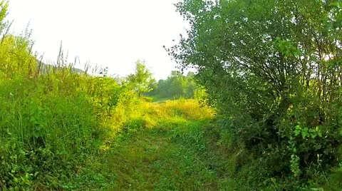 Walk in the low mountains Stock Footage 20444726