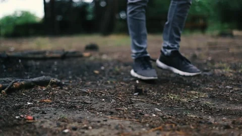 Walk Man, Alone Man, Man, Aerial View: Forest, Magical Mount, Sunrise, Sunset Stock Footage 202052686