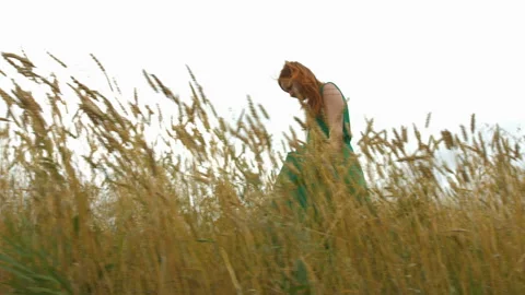 Walk in the mature field. Видео 88153100