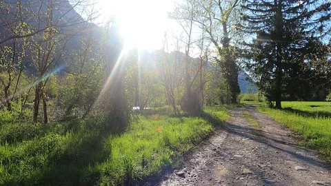 A walk on a mountain path with backlit sunshine Stock Footage 239668777