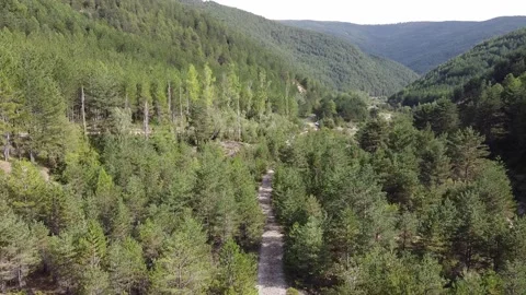 Walk in the mountains Stockbeeldmateriaal 234129259