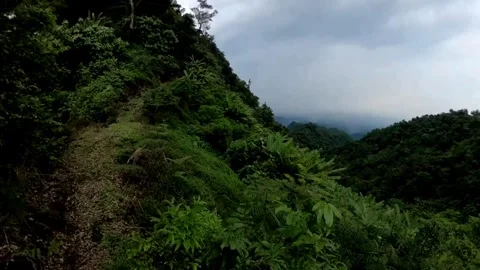 Walk in the mountains Stock Footage 278963362