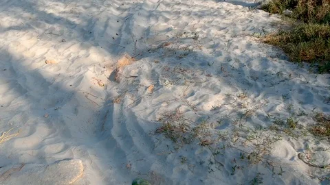 Walk near beach Stock Footage 89720485