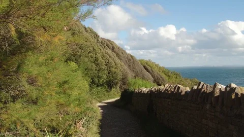 Walk by the ocean Stock Footage 71963043