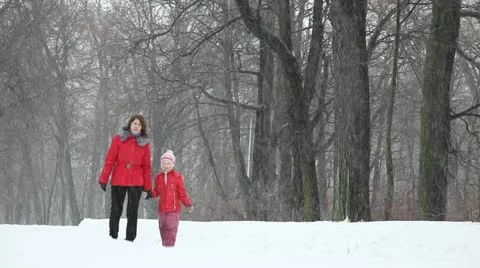 Walk in old park in the snow Stock Footage 20480801