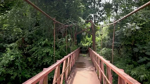 Walk over the old bridge Stock Footage 236982539