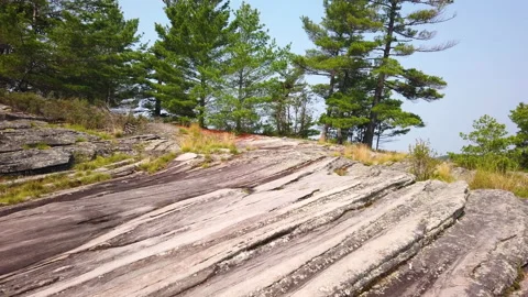 Walk Over Over Nice Layered Glazier Smooth Rock On An Old Pine Tree Forest Lake Stock Footage 200625506