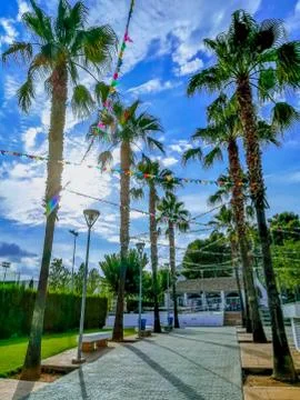 Walk with palm trees on both sides with festive flags Stock Photos