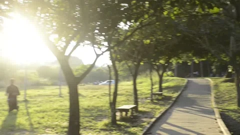 Walk in park exercise on a pathway ground level El Salvador Central America Stockbeeldmateriaal 145863588