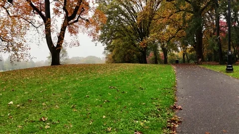 Walk in the Park in Fall. Red and Yellow Tree Leaves Stock Footage 254435093