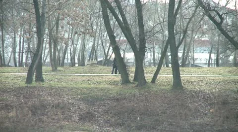 Walk in park Stock Footage 10684557