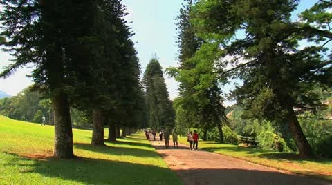 The walk in the park. Stock Footage 10764230