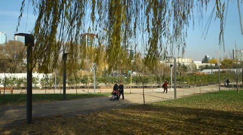 Walk in the park Stock Footage 36282887