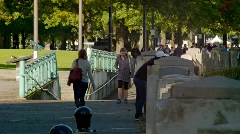 Walk in the park   Video stock 43074693