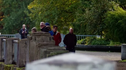 Walk in the park Video stock 43074988