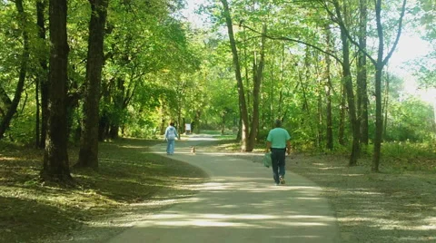 A Walk in the Park Stock Footage 43247930
