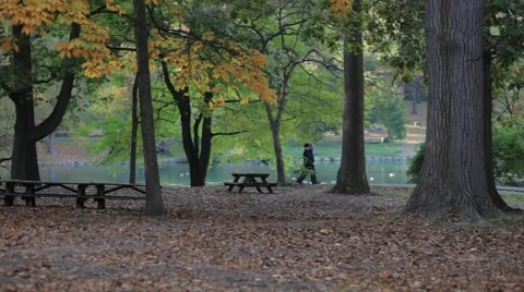 Walk in the park Stock Footage 48338197