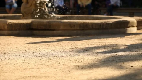 Walk in a park Stock Footage 70593211