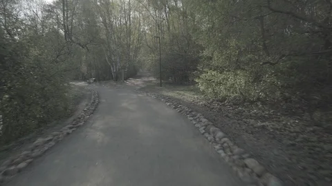 Walk in the park Stock Footage 89415402