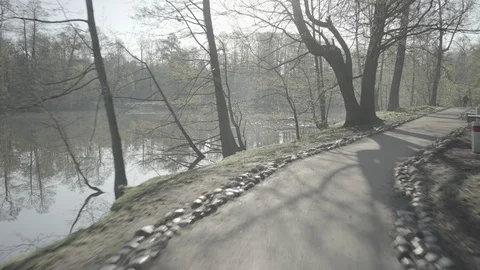 Walk in the park Stock Footage 89415427