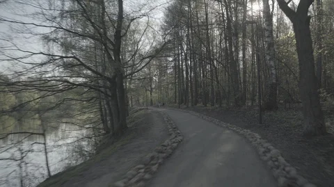 Walk in the park Stock Footage 89415579