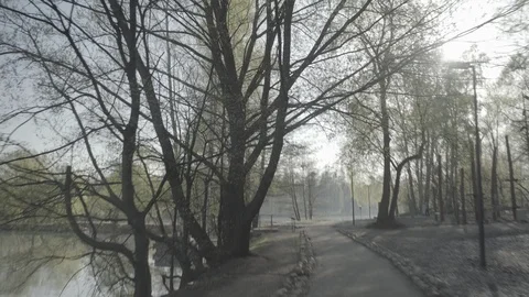 Walk in the park Stock Footage 89415632