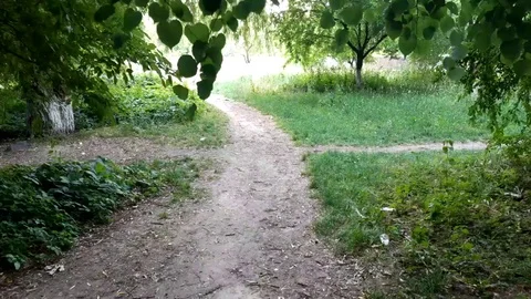 Walk in park Stockbeeldmateriaal 90602343