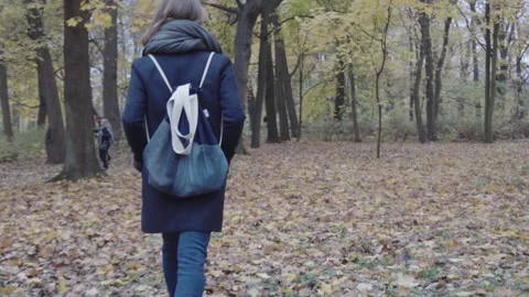 Walk in the park Stock Footage 148503541
