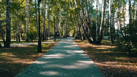 Walk in the park Stock Footage 164037582
