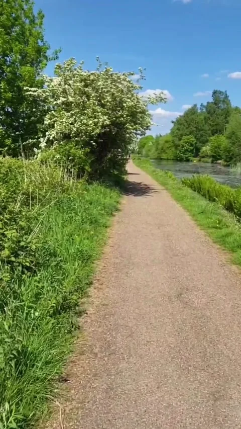 Walk in the park Stock Footage 308914737