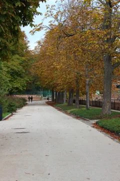 A walk in the park Stock Photos