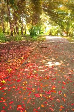 Walk in the park Stock Photos