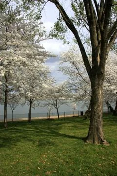 Walk in the park Foto stock