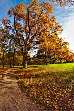Walk in the park Stock Photos