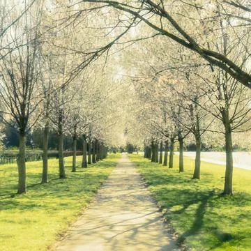 Walk In The Park Stock Photos