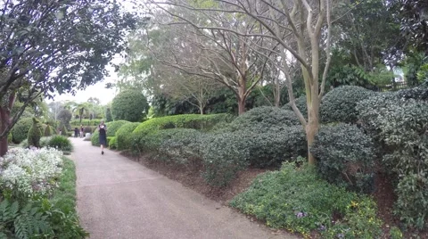 Walk In The Park - Rotating Time Lapse Of Beautiful Parklands Stock Footage 56135888