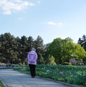 Walk in the park in the spring. 库存照片