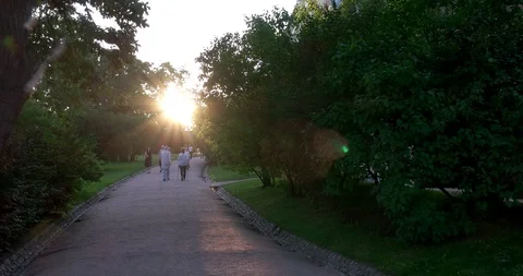 Walk in the Park at sunset Stock Footage 93817871