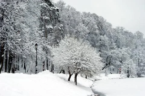 A walk in the Park in winter Stock Photos