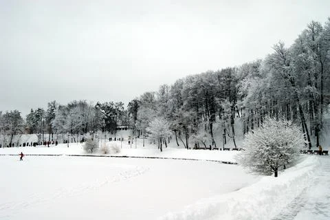 A walk in the Park in winter Stock Photos