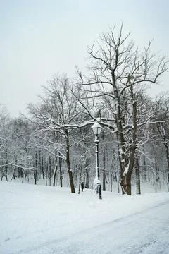 A walk in the Park in winter Stock Photos