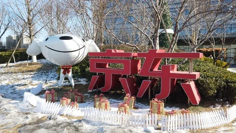 Walk pass JD head office Beijing in front of Joy dog mascot in winter season 스톡 동영상 123096009