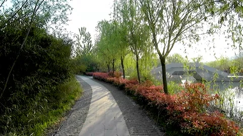 Walk the path between the park woods Stock Footage 153419896