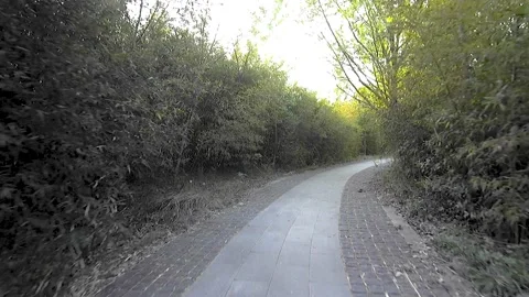 Walk the path between the park woods Stock Footage 153419898