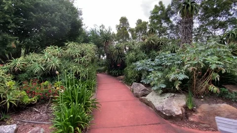 Walk path Video stock 143648151