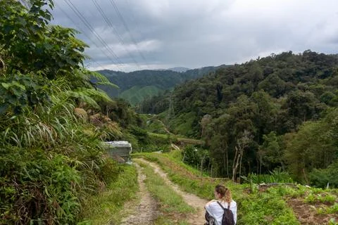 A walk in a path in a mountain surrounded by trees. Stock Photos