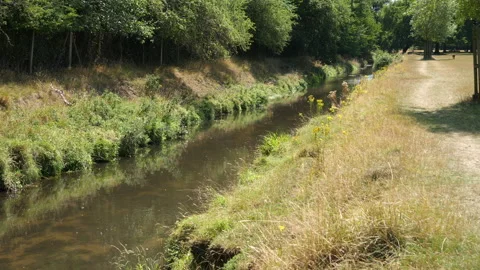 Walk Path Next To Stream 库存影片 136700164