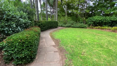 Walk path park Video stock 143647628