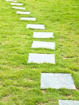 Walk path in the park Stock Photos
