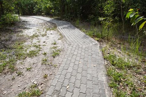 The walk path in the park Stock Photos
